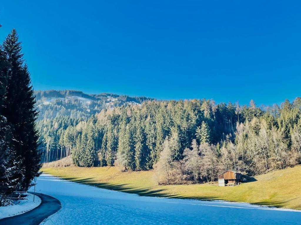 Royal Swan Appartement, Tirol フューゲン エクステリア 写真