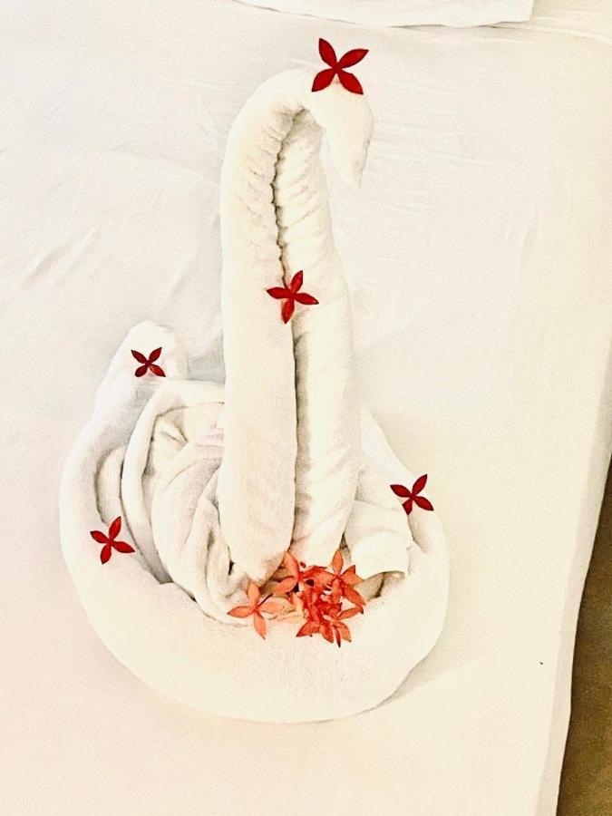 Royal Swan Appartement, Tirol フューゲン エクステリア 写真